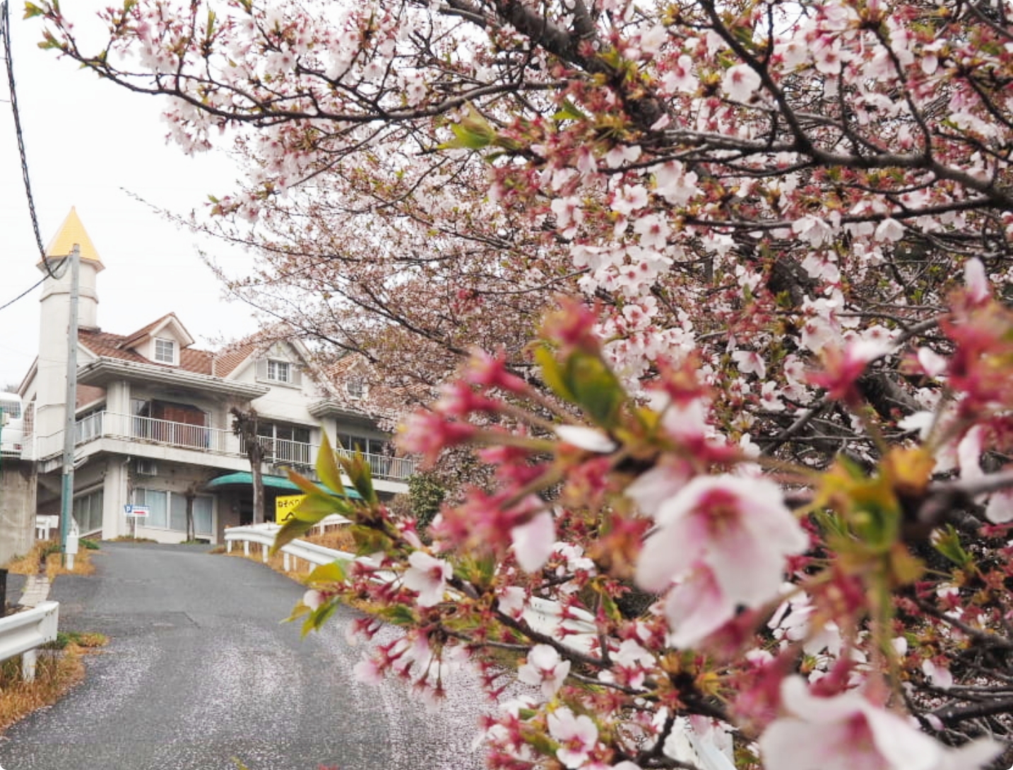 一人ひとりに寄り添う、全ての人への支援